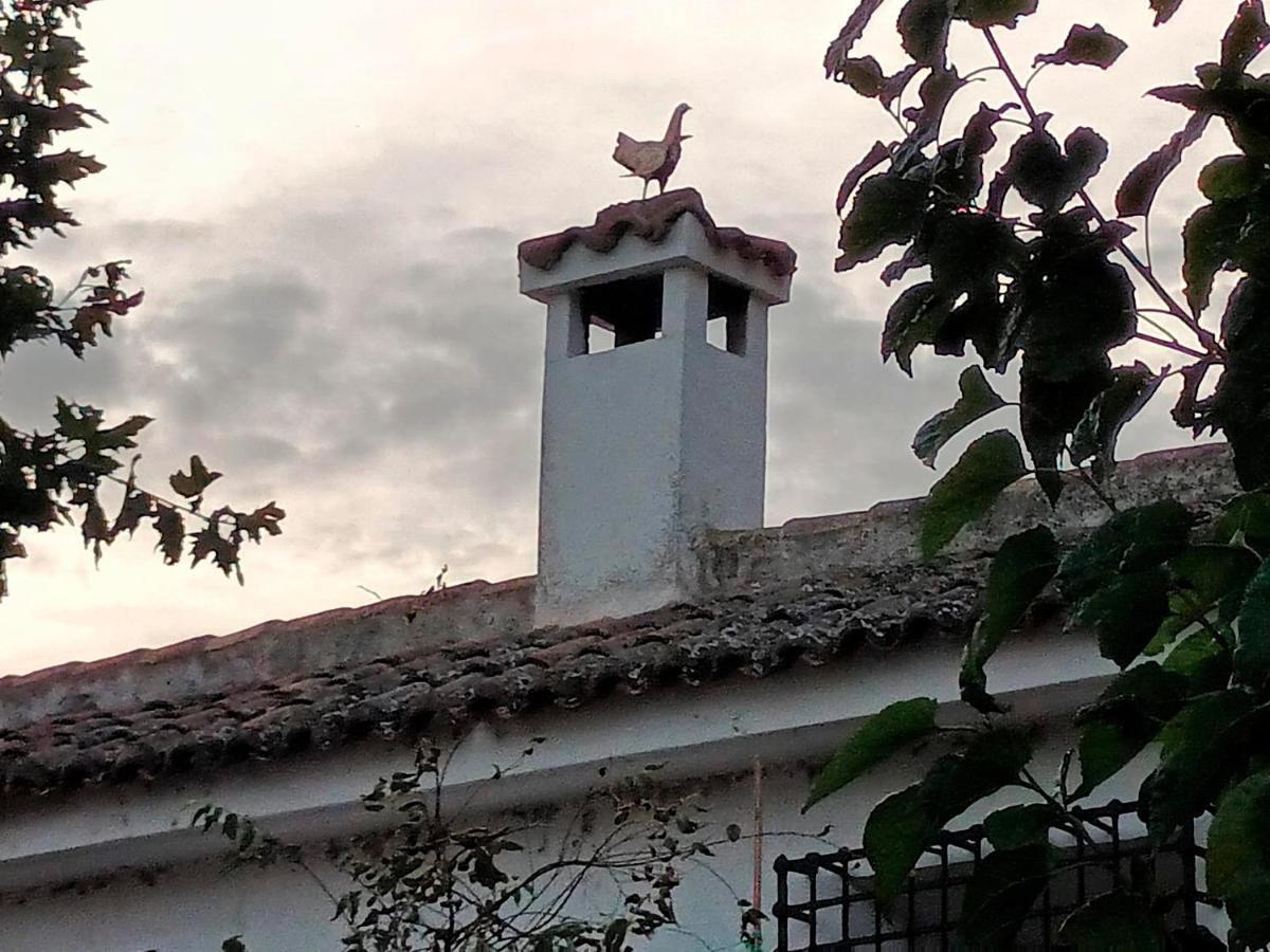 Cigarral De La Peraleda Toledo公寓 外观 照片